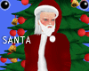 Santa Full Outfit