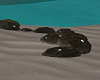 stone camping