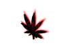 Neon red Weed