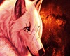Broken Wolf