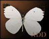 •A White Butterflies