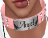 Angel Collar