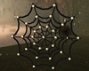Spider Web w Lights 2022