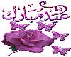 rose aid mubarak