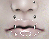 GLOSS ♡