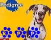 Pedigree Dog Food