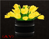 (AV) Yellow Tulips