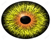 M-Yellow Eyes