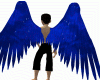 Angel Blue Wings M/F