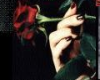 {ss60}rose