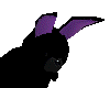 Purple-ear bunny