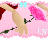 [L] Long Pink Rose