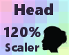 dk Head Scaler 120%
