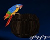 PHV Pirate Parrot/Barrel