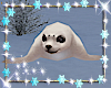 *Animated Seal