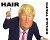 Donald Trump Hair Style
