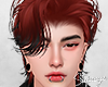 S. Kareem Aurburn