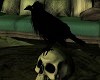 🎃 Fall Skull Crow