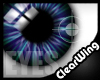 *Big Eyes* Dark Blue
