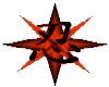 TexasNinja Logo