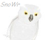 *snowr*Snow Owl