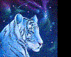  sparkle white tiger