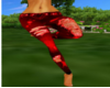 ~Diva~Fire Red Jeans
