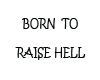 BORN TO RAISE HELL