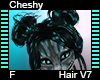 Cheshy Hair F V7