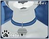 [Pets] Polar | collar