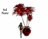 Red Palm Planter