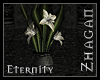 [Z] Eternity Lily 