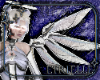 Signal Love Wings Ani v1
