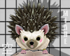 空 Hedgehog M 空