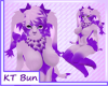 KT Bun Bundle