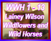 Wildflowers & Wild Horse