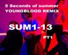 Youngblood EDM - PT1