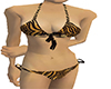 [CDT] Tiger Bikini