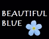 BEAUTIFUL BLUE NO