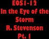 In the Eye ofthe Storm 1