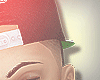 "WC.Fvnds"