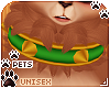 [Pets] Ginga | collar v2