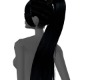 Black Ponytail