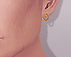 $. Der. 2 Earings