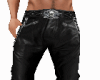 Hot Leather Pants