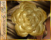 I~Gold Hair Rose