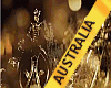 MGI AUSTRALIA SASH