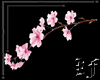 Pink Blossoms Filler