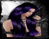 Evifala Vio Purple Black