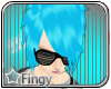 !fp!fingy blue archid